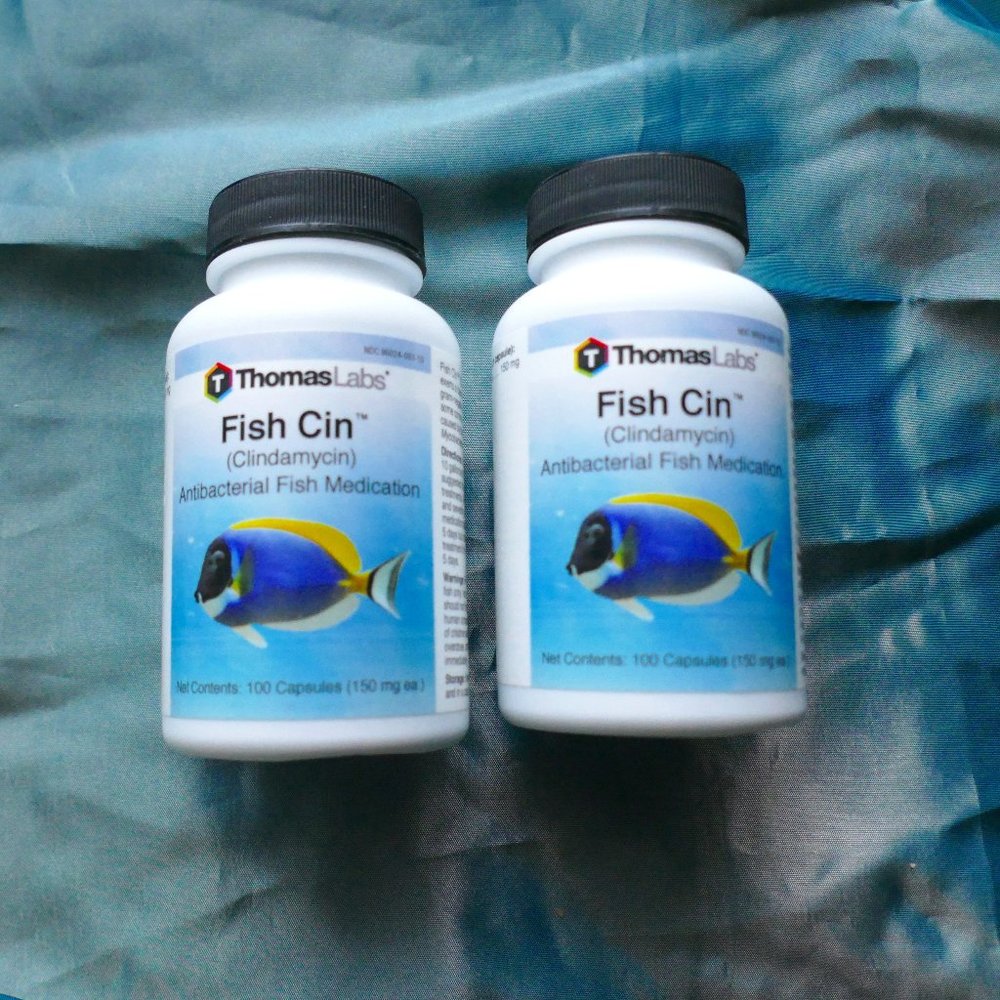 New 2 Thomas Labs Fish Cin Antibacterial 100 CT